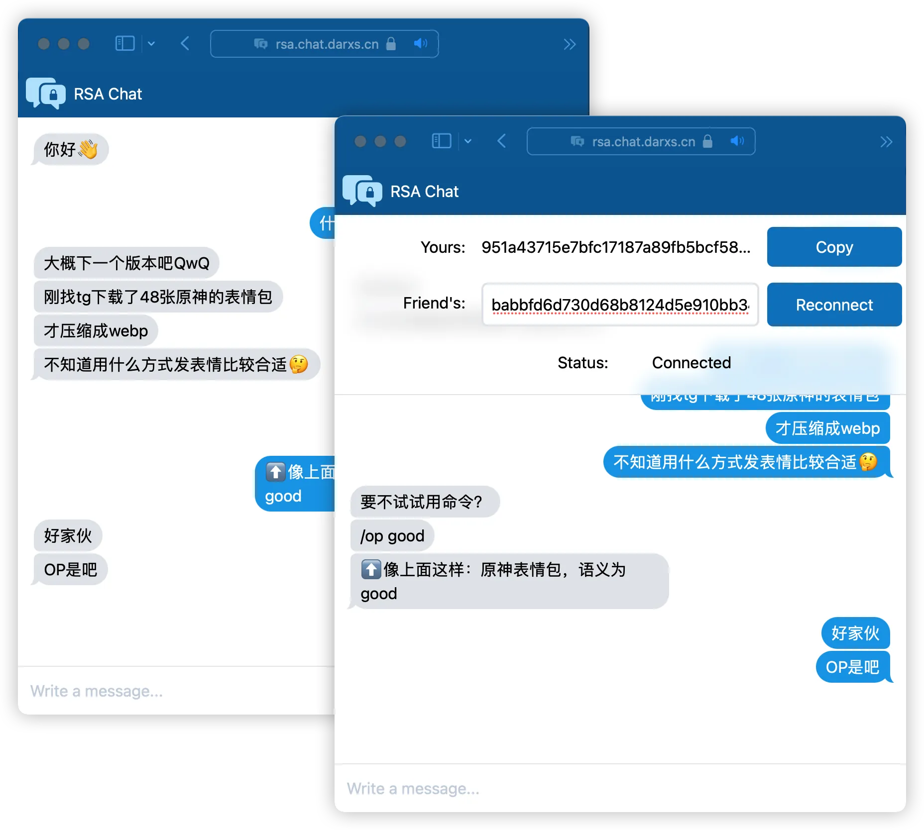 RSA Chat 网页截图